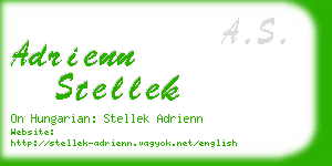 adrienn stellek business card